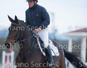 Dahila della Verdina Tosc Tour2013- S5 1780 : Arezzo, Cavalli d'Italia, Dahila della Verdina, Toscana Tour 2013, foto di Stefano Secchi ©